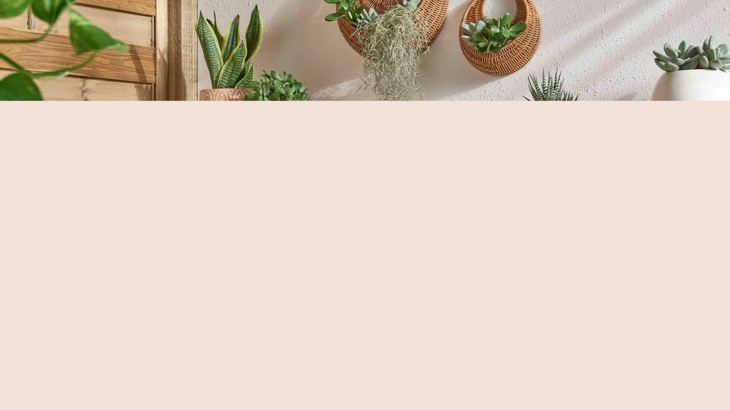 Outdoor Garden George At Asda