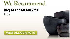 Angled Top Glazed Pots